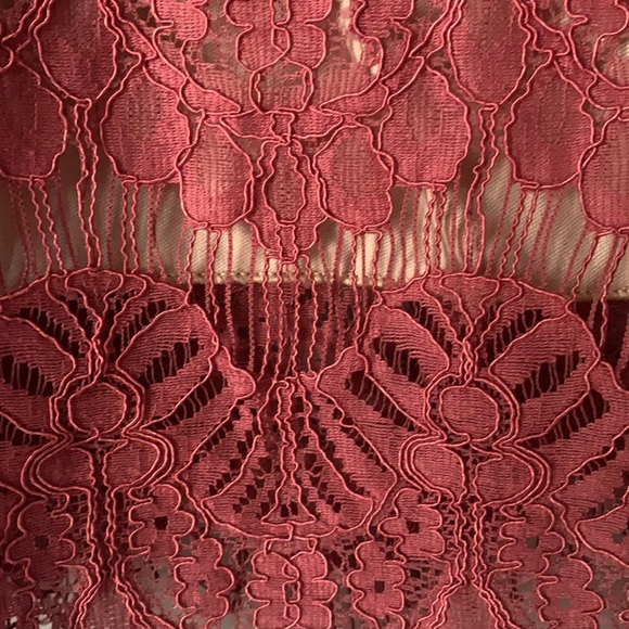 Speechless Pink Lace with Nude Underlining - Picture 5 of 13